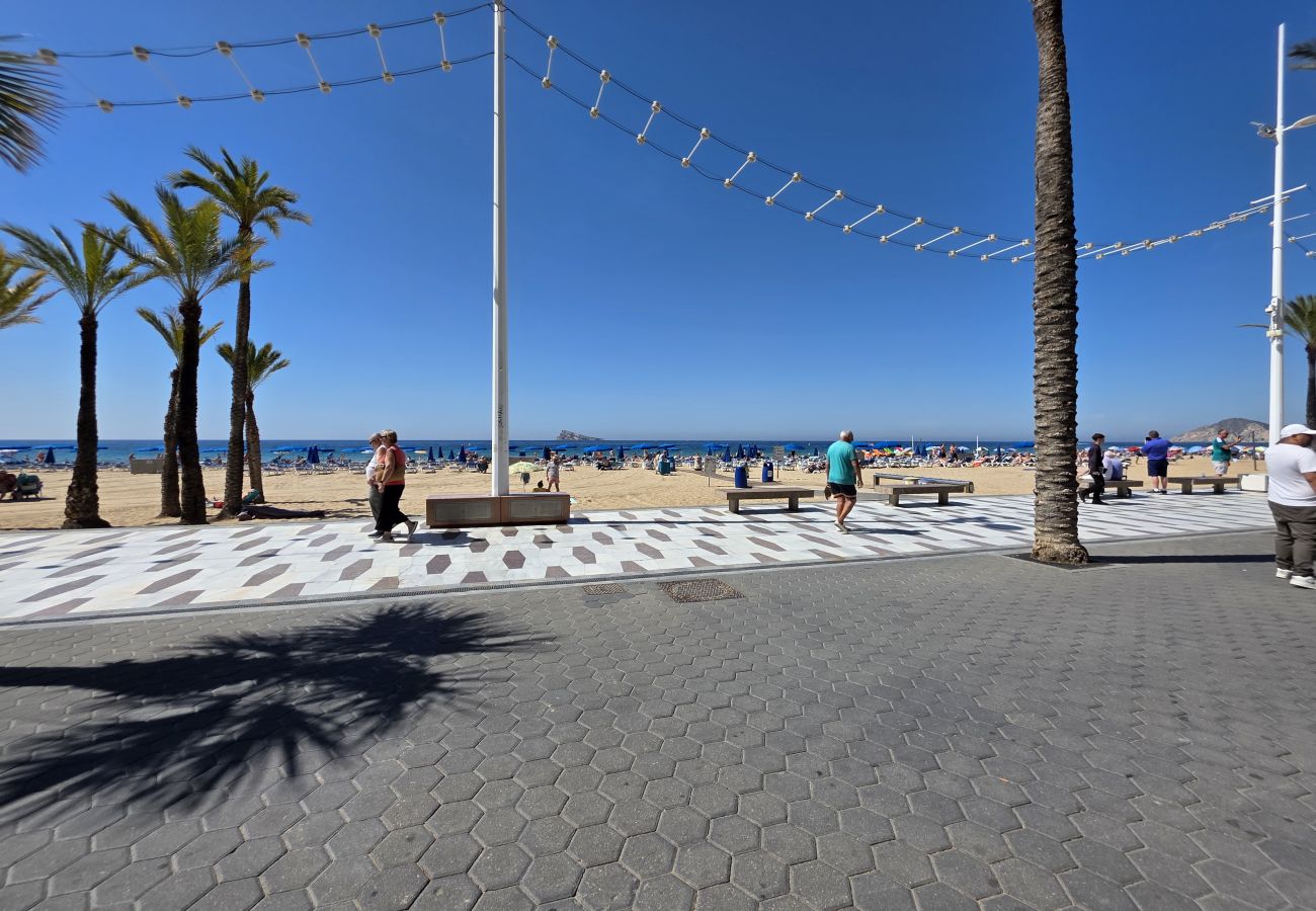 Apartamento en Benidorm - Apartamento Las Palmeras If Beach