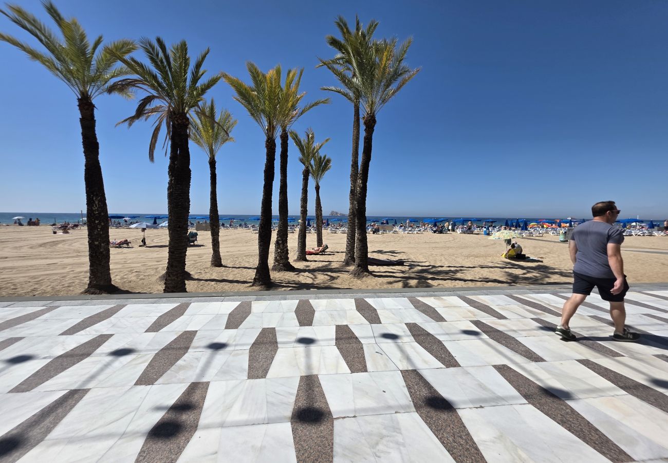 Apartamento en Benidorm - Apartamento Las Palmeras If Beach