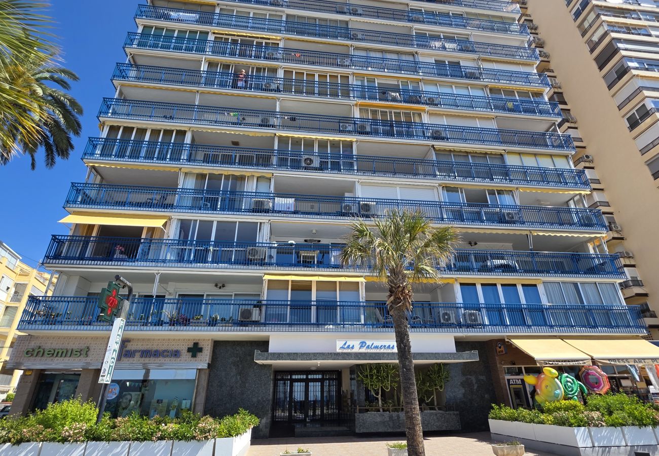 Apartamento en Benidorm - Apartamento Las Palmeras If Beach