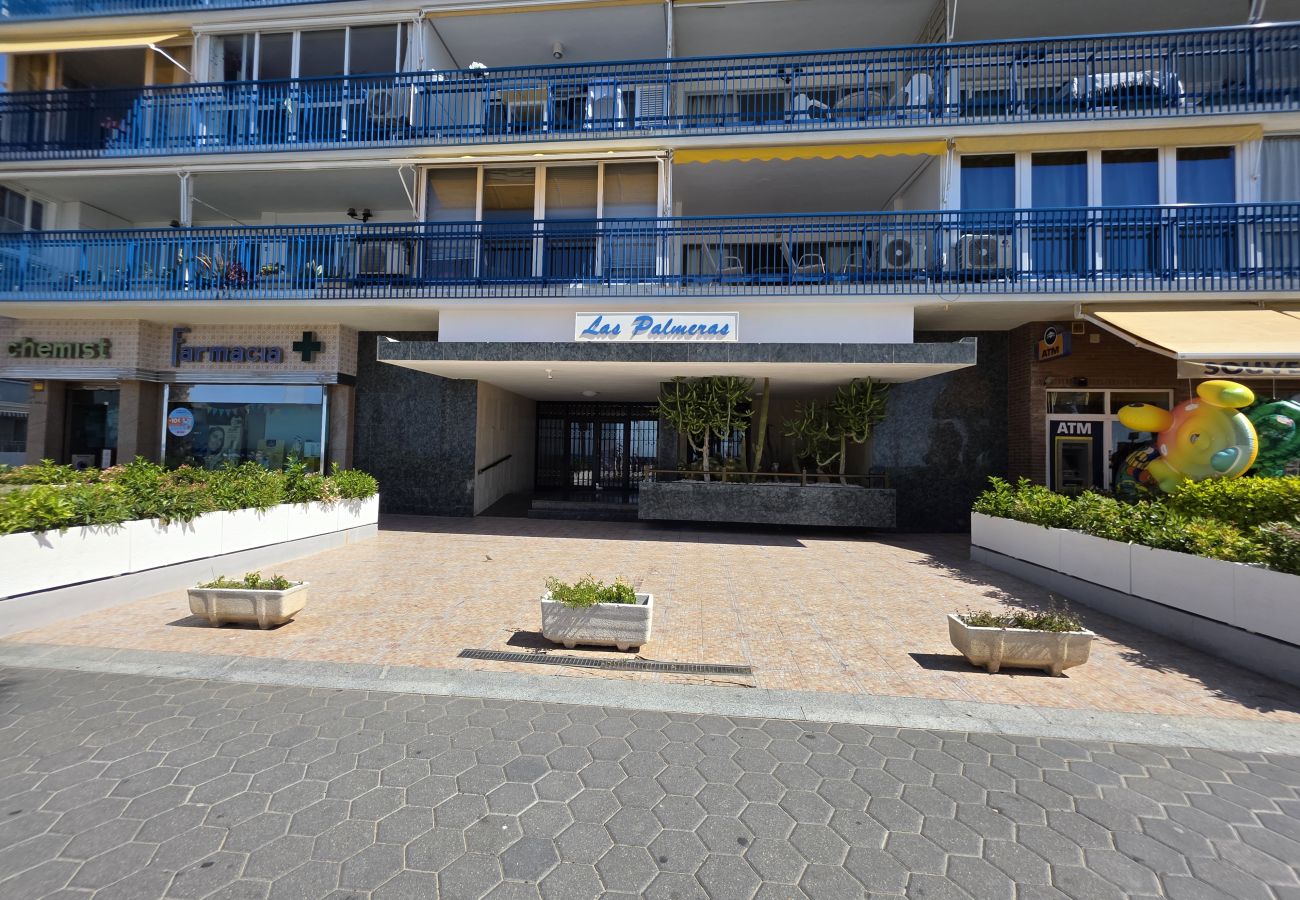 Apartamento en Benidorm - Apartamento Las Palmeras If Beach