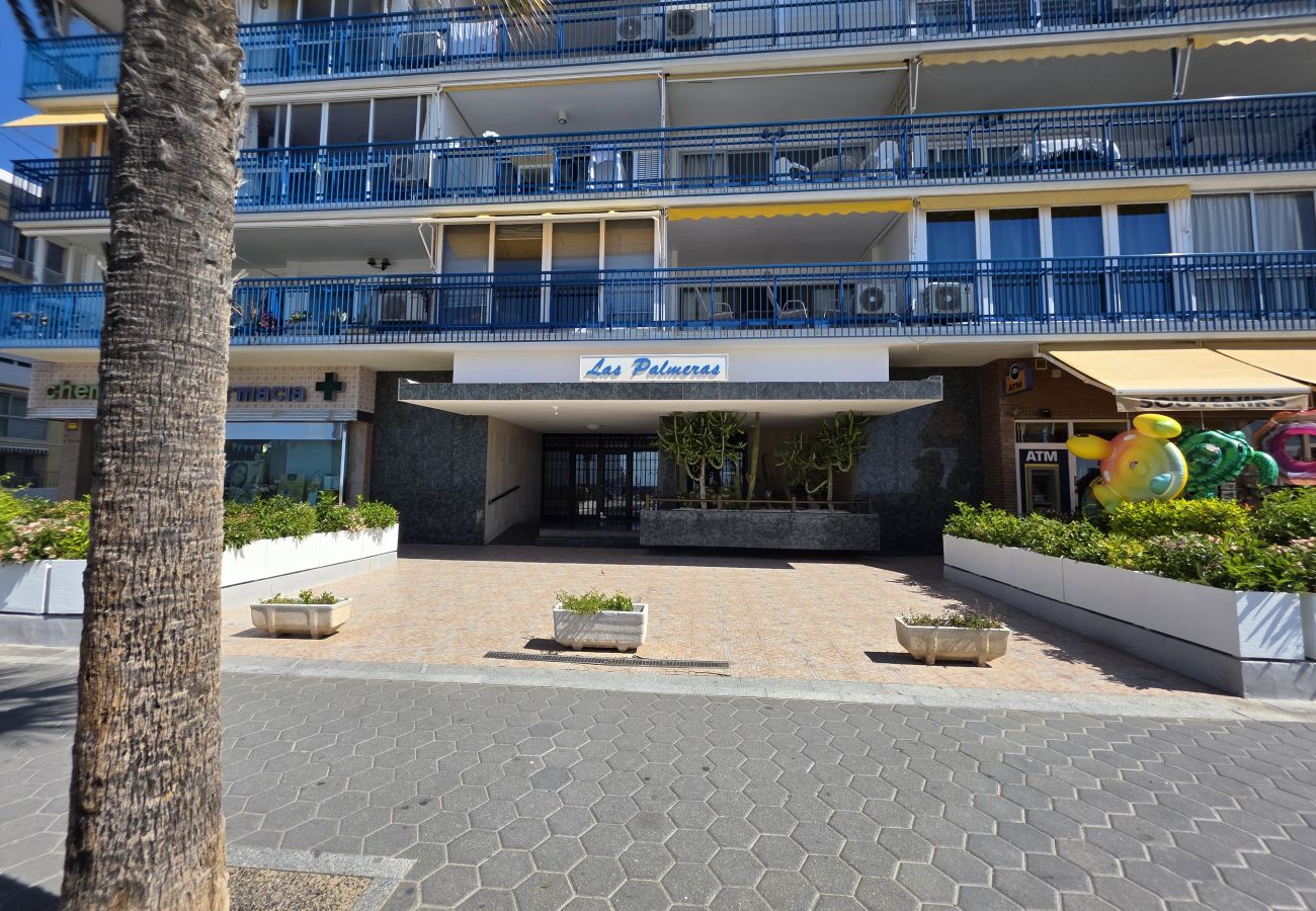 Apartamento en Benidorm - Apartamento Las Palmeras If Beach