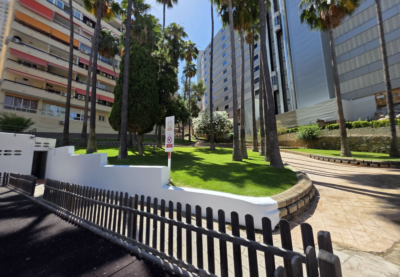 Apartamento en Benidorm - Apartamento Parque Loix IF Benidorm