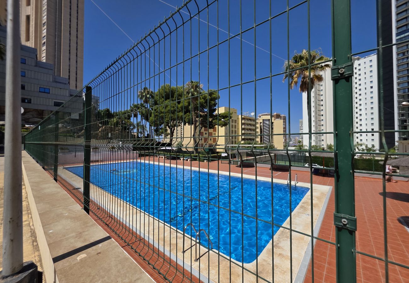 Apartamento en Benidorm - Apartamento Parque Loix IF Benidorm