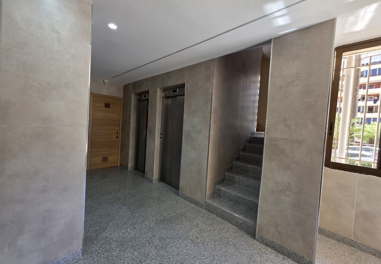 Apartamento en Benidorm - Apartamento Parque Loix IF Benidorm