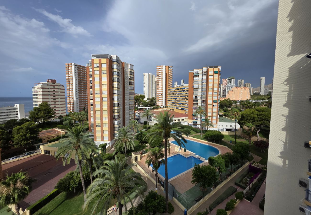 Apartamento en Benidorm - Apartamento Saranova IF Benidorm