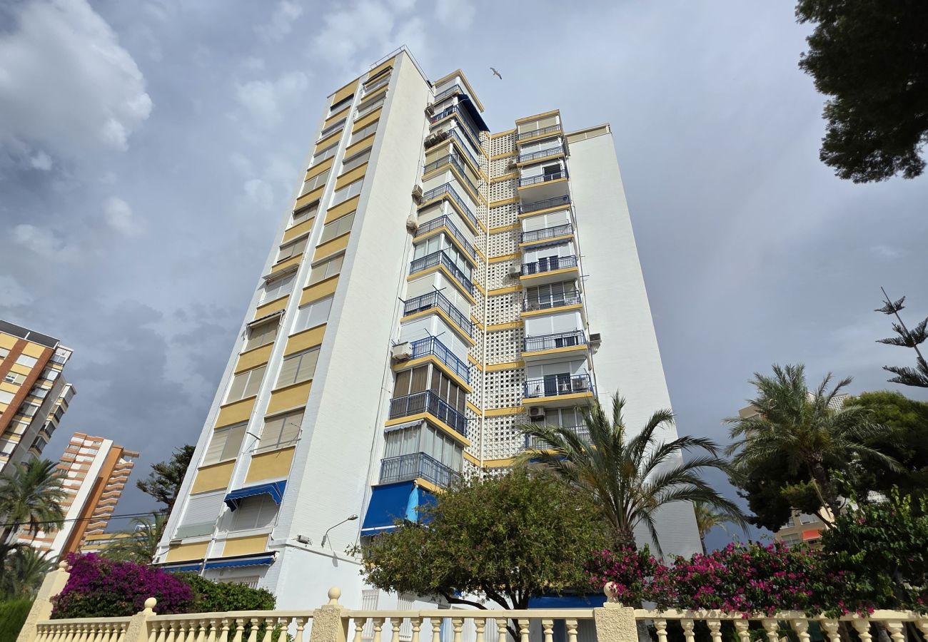 Apartamento en Benidorm - Apartamento Saranova IF Benidorm