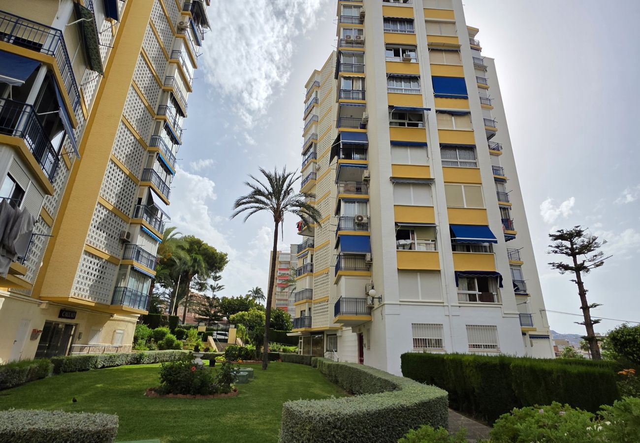 Apartamento en Benidorm - Apartamento Saranova IF Benidorm
