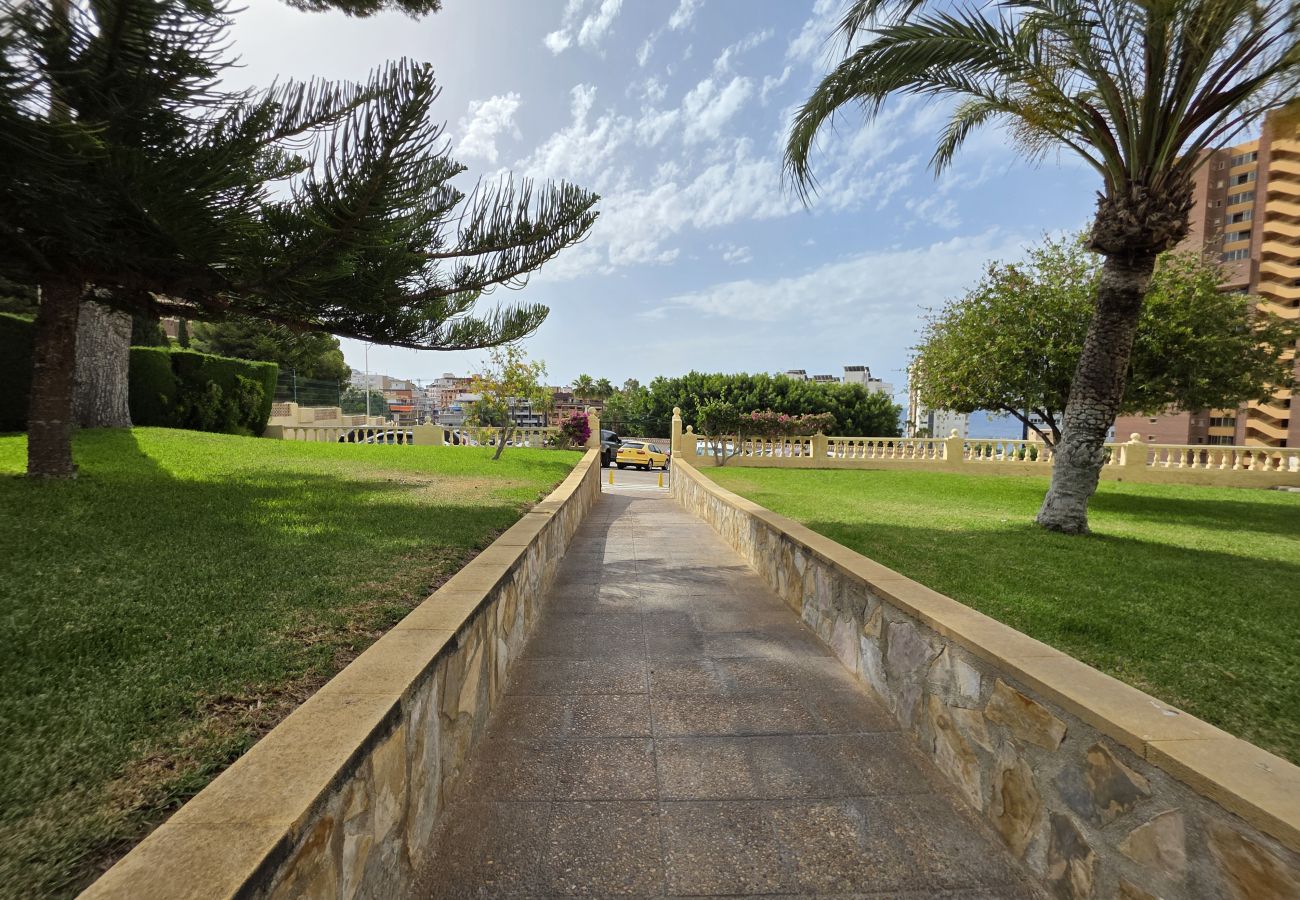 Apartamento en Benidorm - Apartamento Saranova IF Benidorm