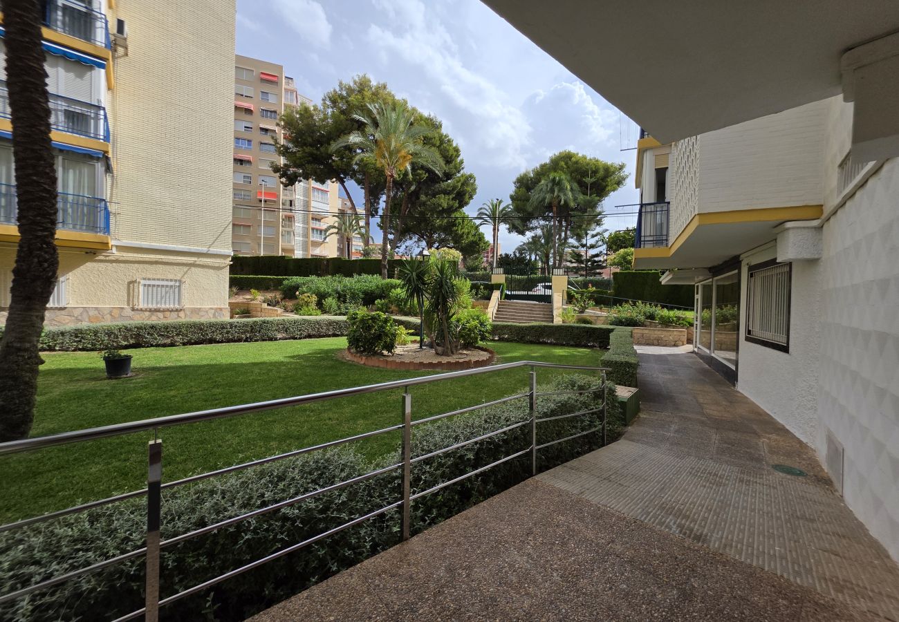 Apartamento en Benidorm - Apartamento Saranova IF Benidorm