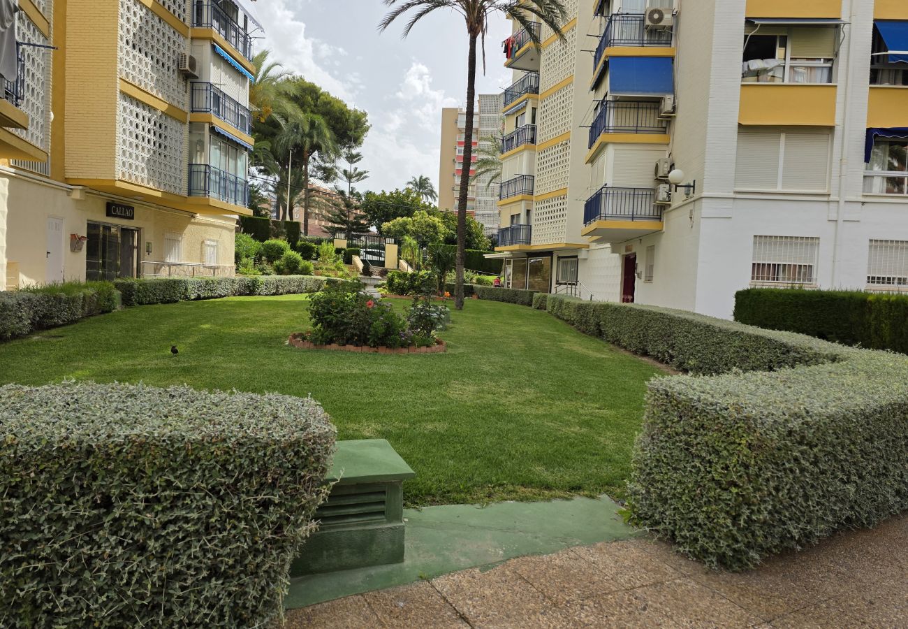 Apartamento en Benidorm - Apartamento Saranova IF Benidorm