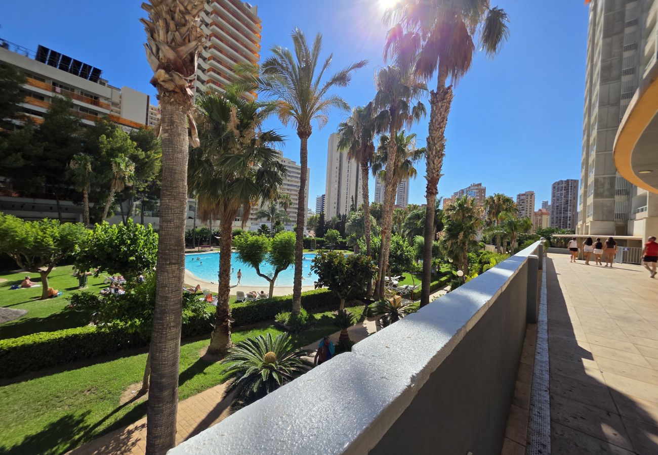 Apartamento en Benidorm - Apartamento Gemelos 22 IF Beach