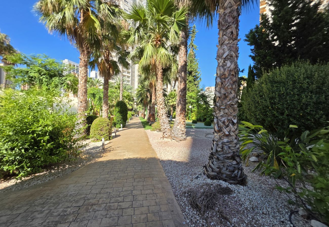 Apartamento en Benidorm - Apartamento Gemelos 22 IF Beach