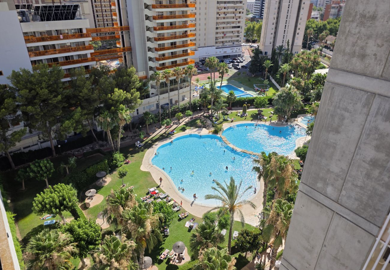 Apartamento en Benidorm - Apartamento Gemelos 22 IF Beach