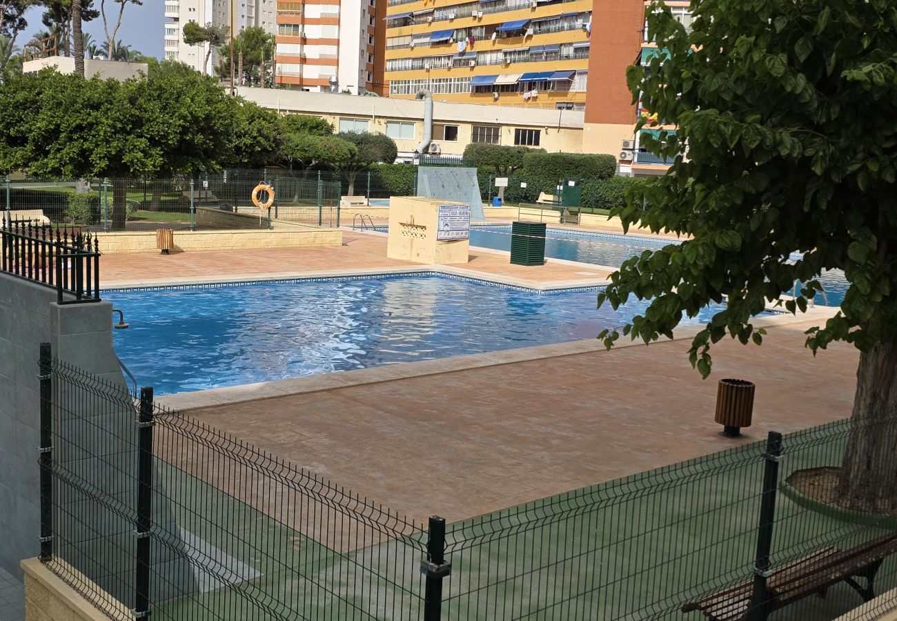 Apartamento en Benidorm - Apartamento Saranova 7 If Beach