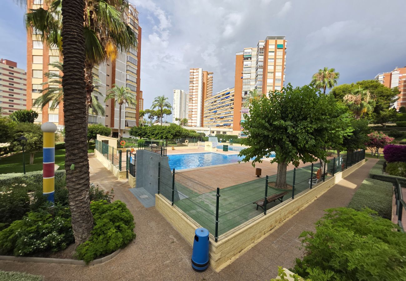 Apartamento en Benidorm - Apartamento Saranova 7 If Beach