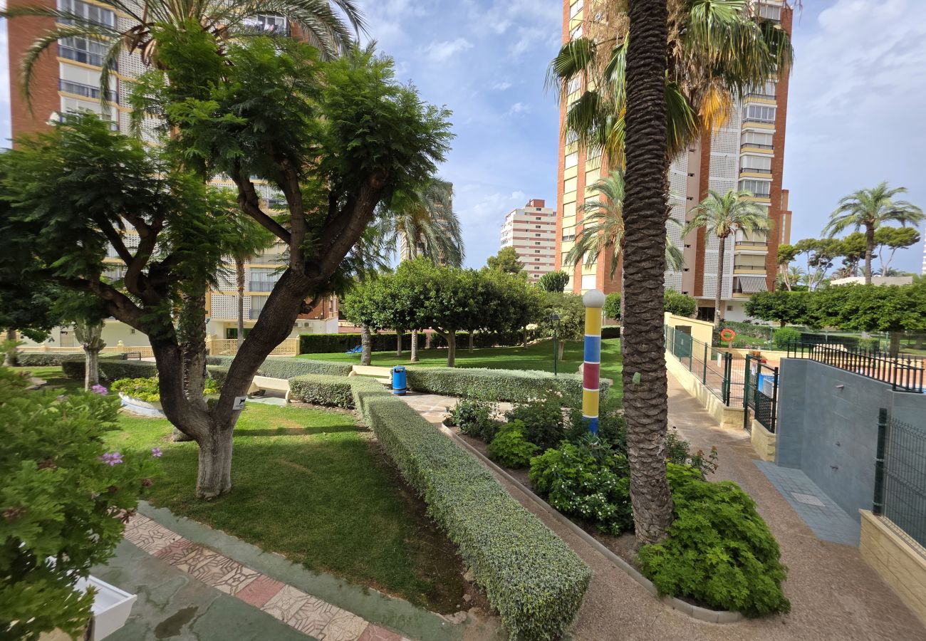 Apartamento en Benidorm - Apartamento Saranova 7 If Beach