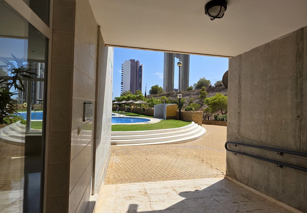 Apartamento en Benidorm - Apartamento Sol de Poniente IF Benidorm