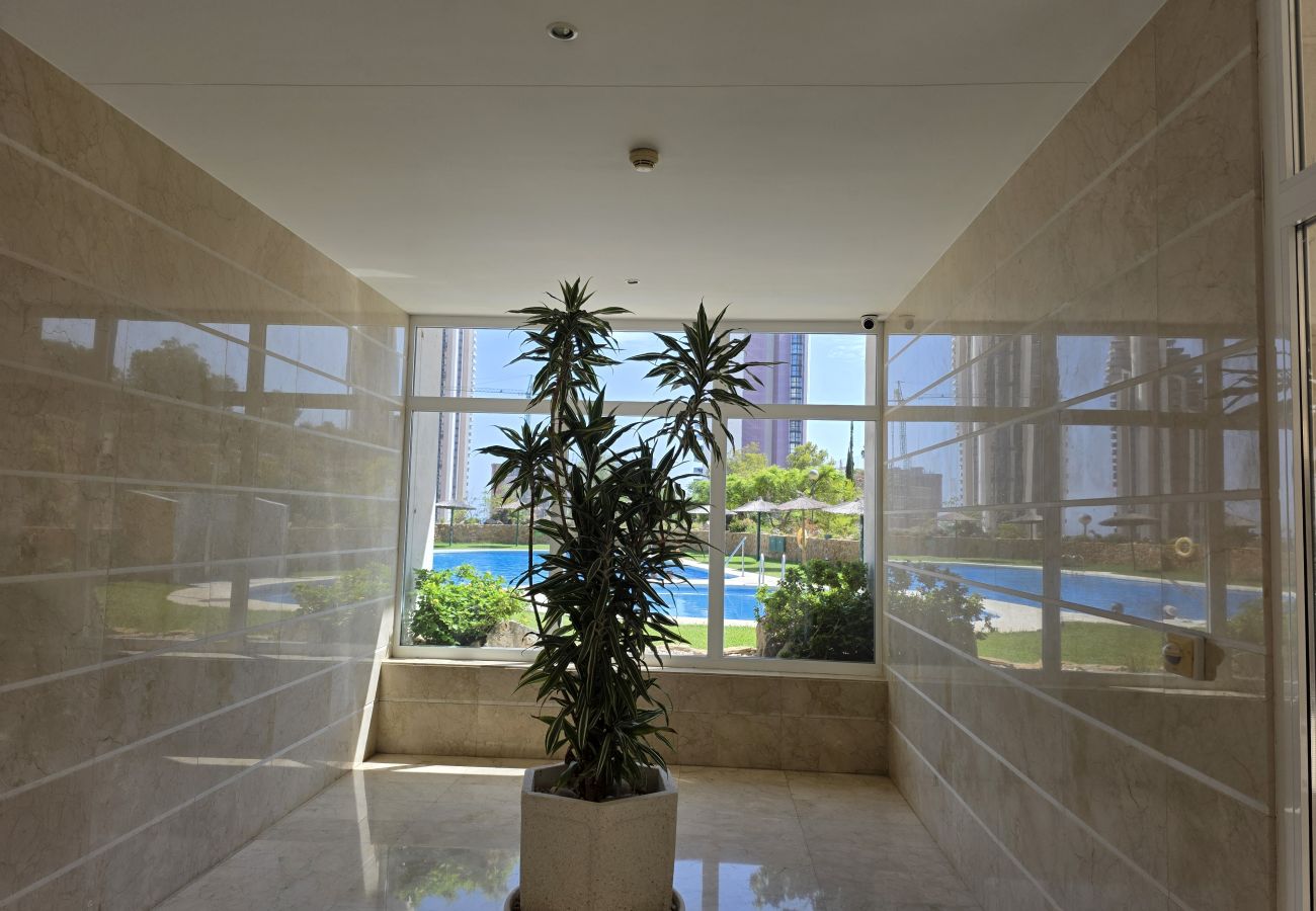 Apartamento en Benidorm - Apartamento Sol de Poniente IF Benidorm