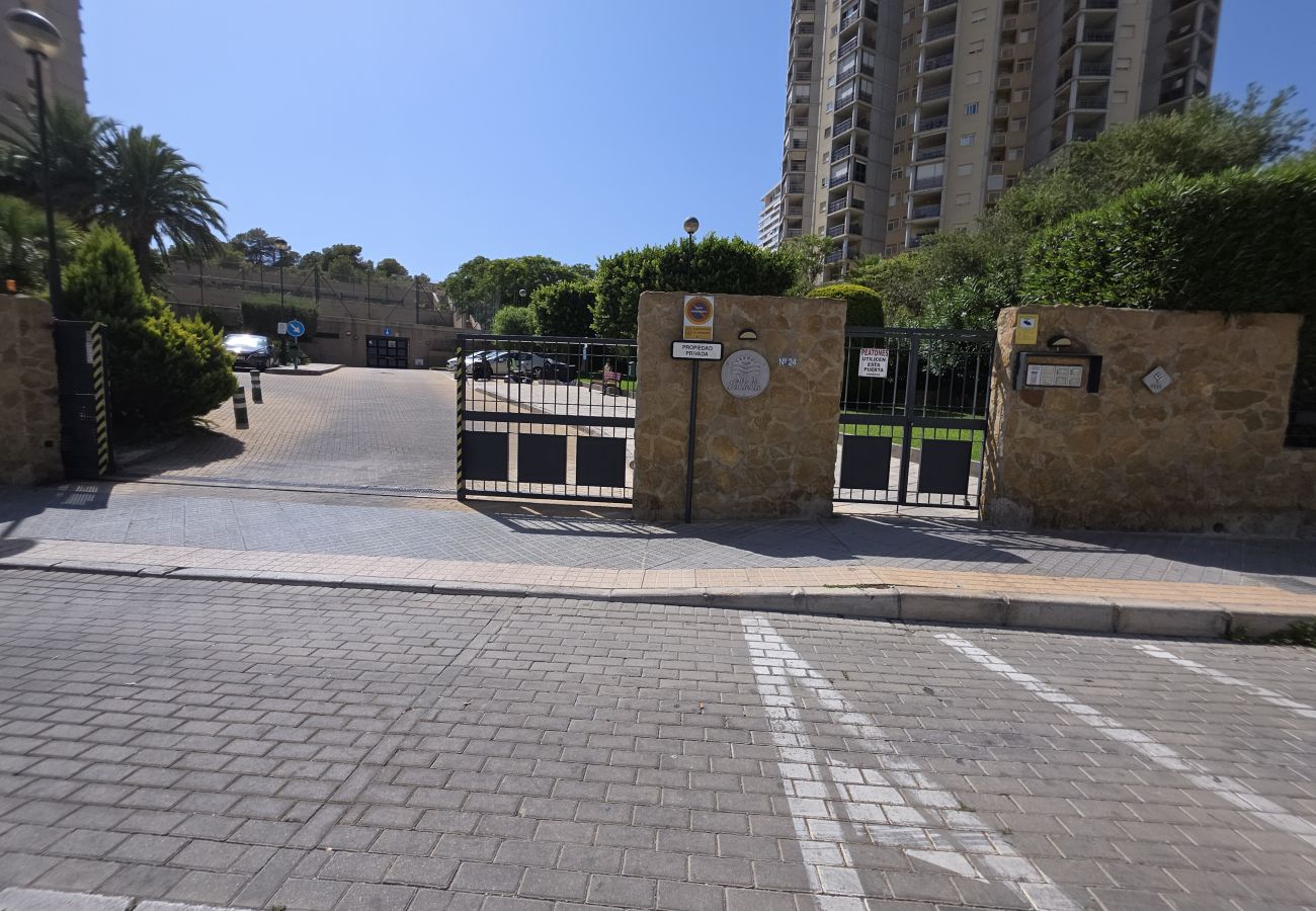 Apartamento en Benidorm - Apartamento Sol de Poniente IF Benidorm