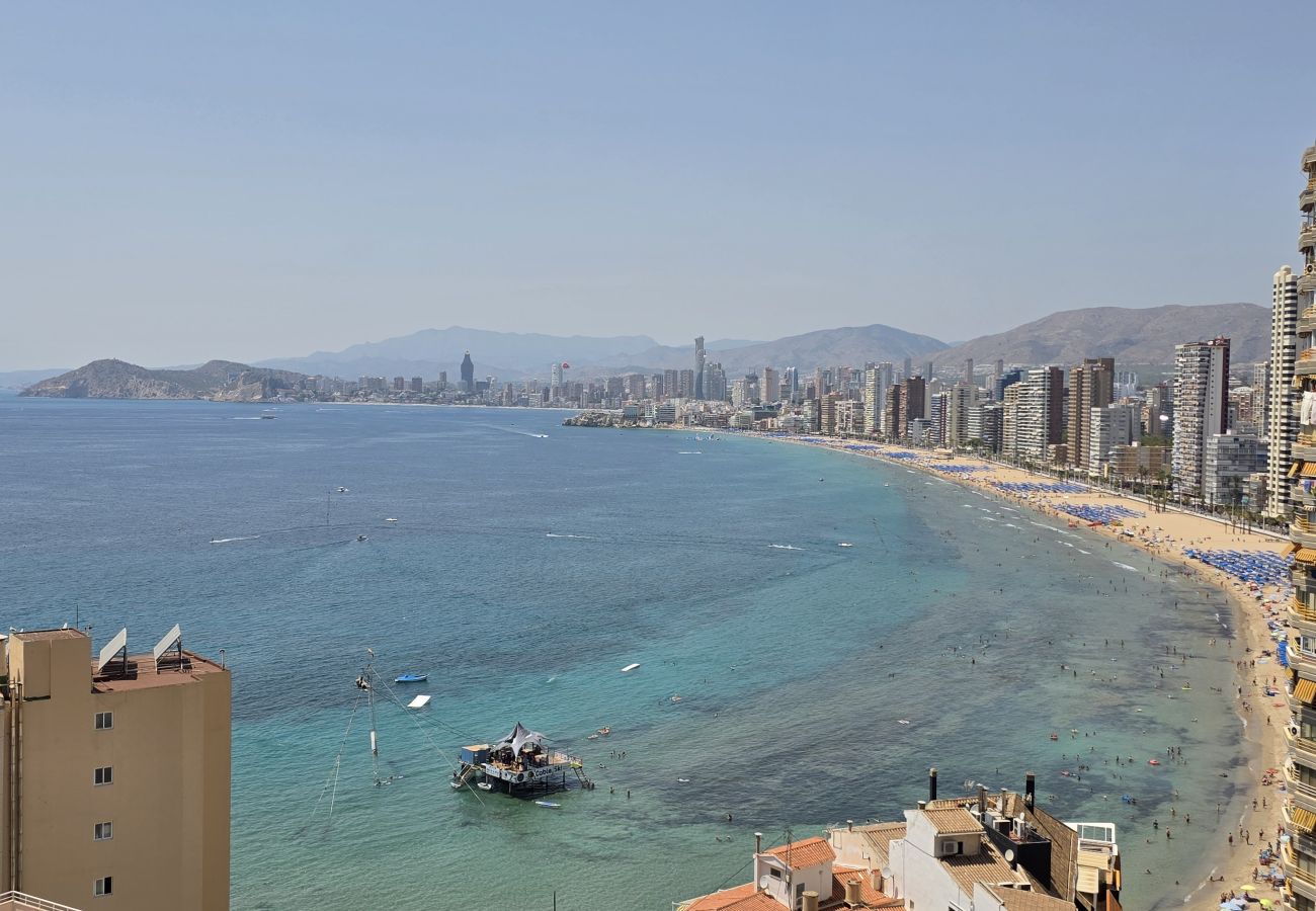 Apartamento en Benidorm - Apartamento Halcon Beach IF Benidorm