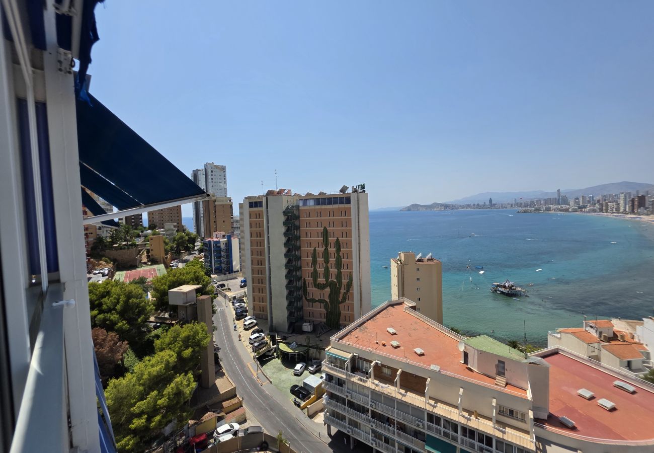 Apartamento en Benidorm - Apartamento Halcon Beach IF Benidorm