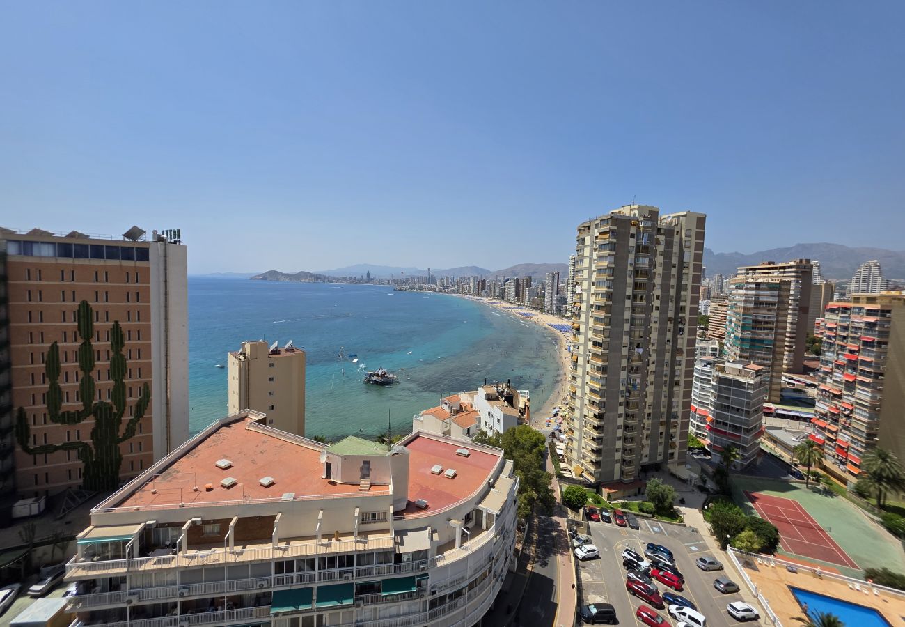 Apartamento en Benidorm - Apartamento Halcon Beach IF Benidorm
