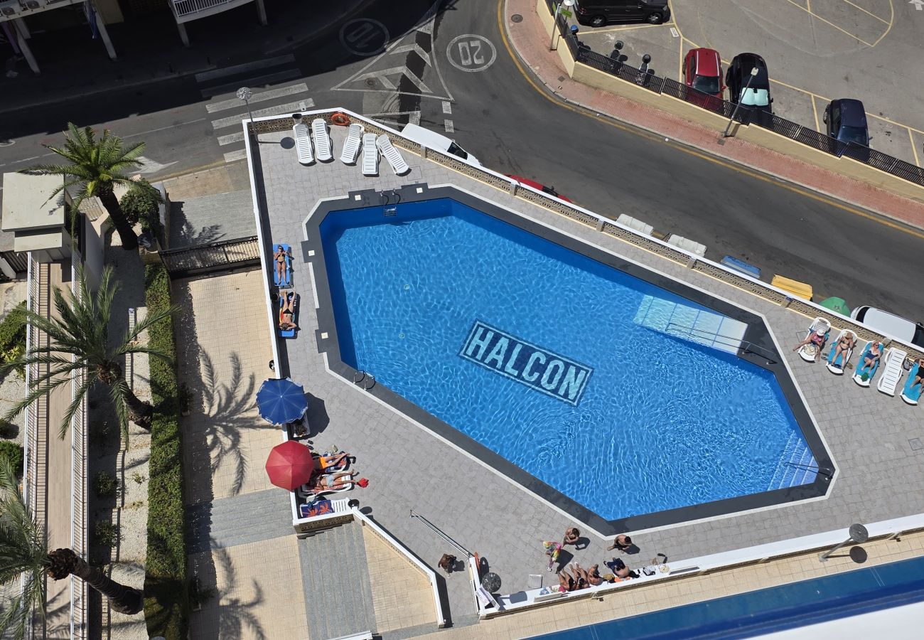 Apartamento en Benidorm - Apartamento Halcon Beach IF Benidorm