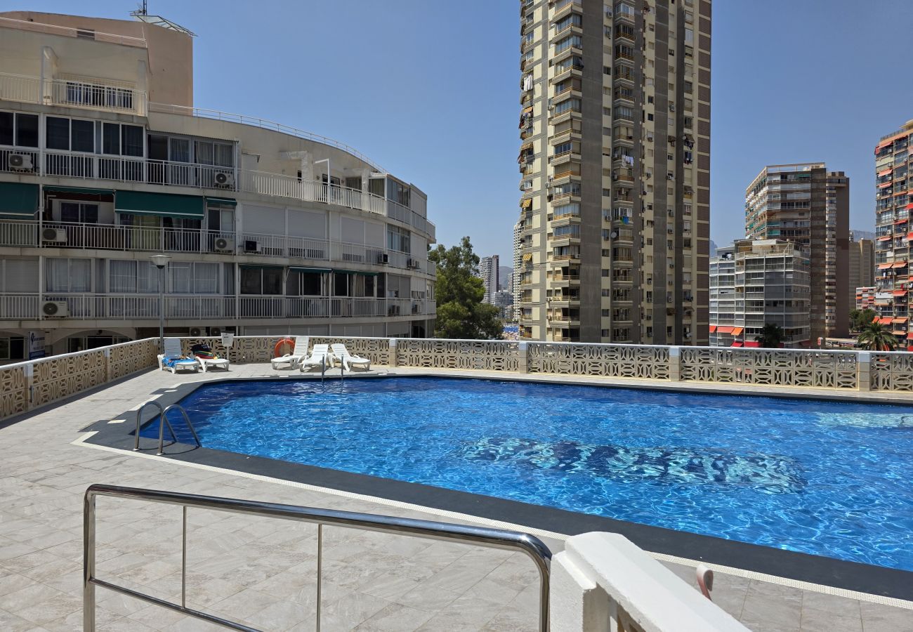Apartamento en Benidorm - Apartamento Halcon Beach IF Benidorm