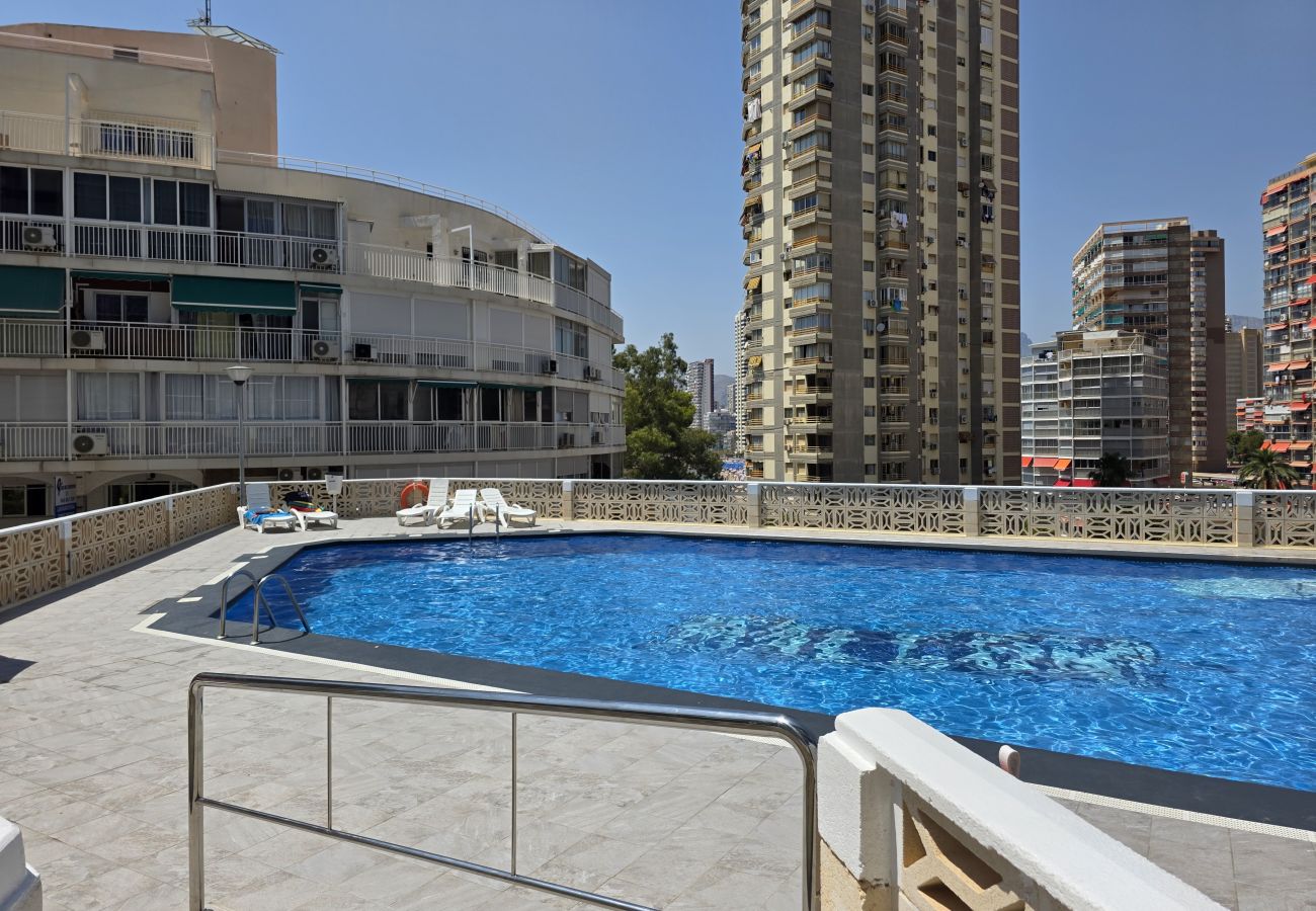 Apartamento en Benidorm - Apartamento Halcon Beach IF Benidorm