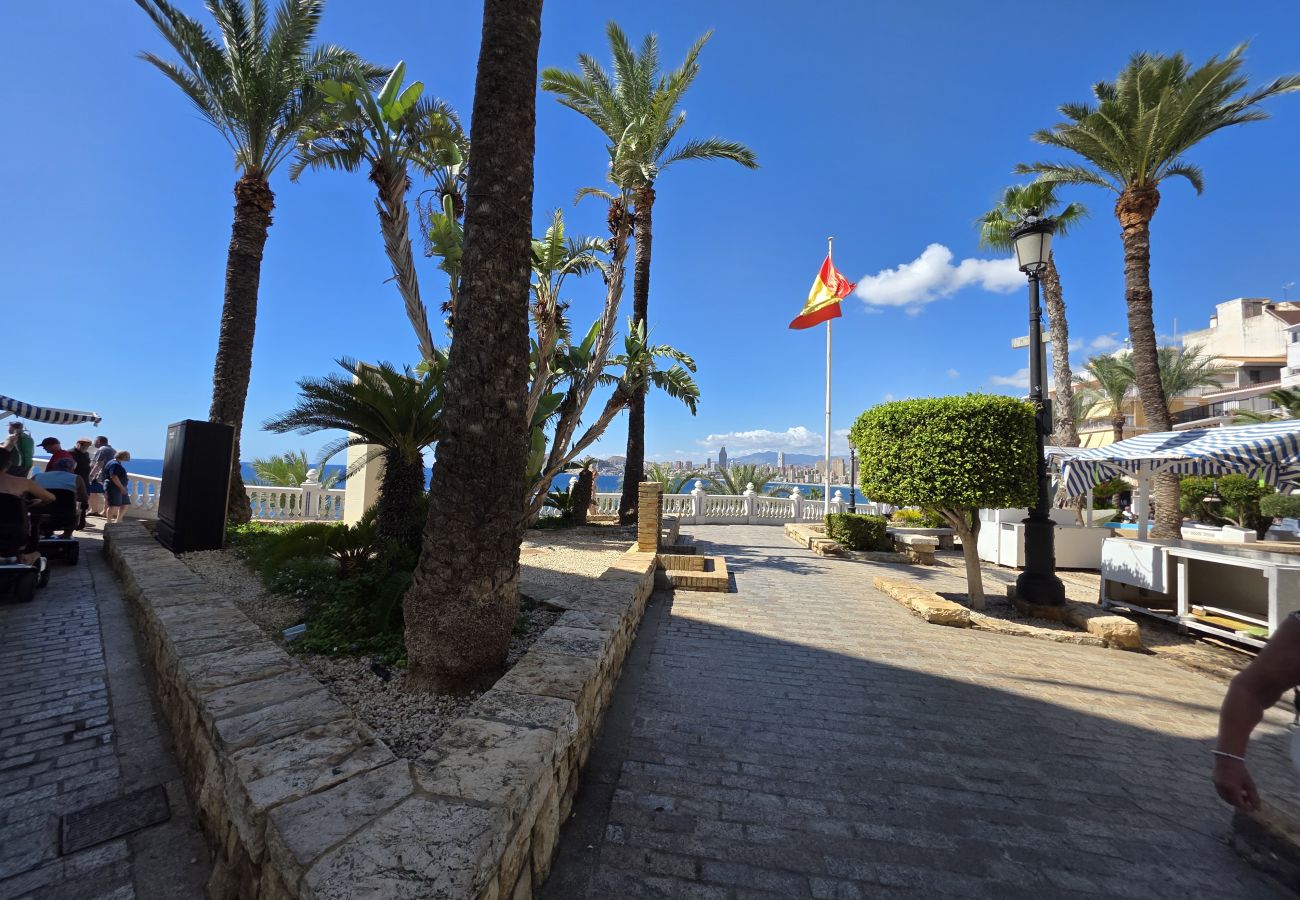 Estudio en Benidorm - Estudio El Castillo IF Benidorm