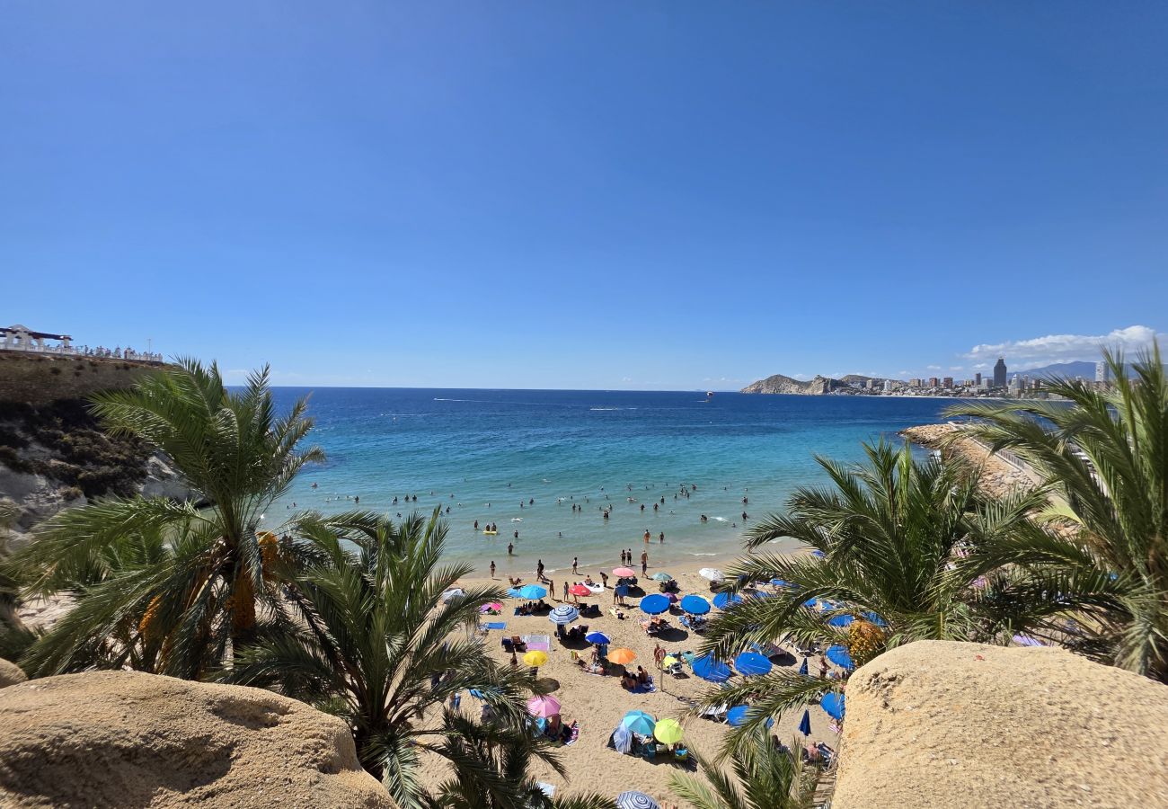 Estudio en Benidorm - Estudio El Castillo IF Benidorm