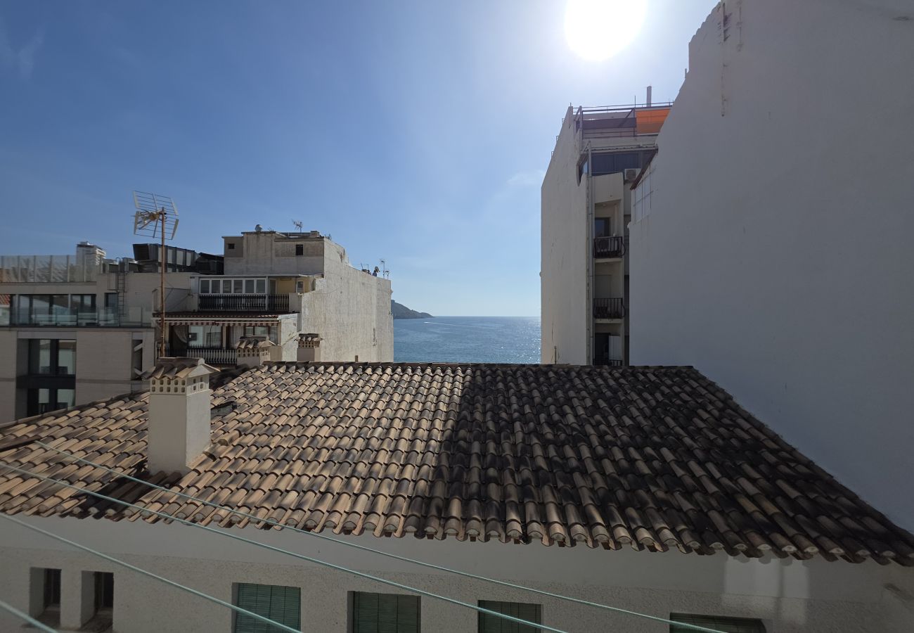 Apartamento en Benidorm - Apartamento Castillo Beach IF Benidorm