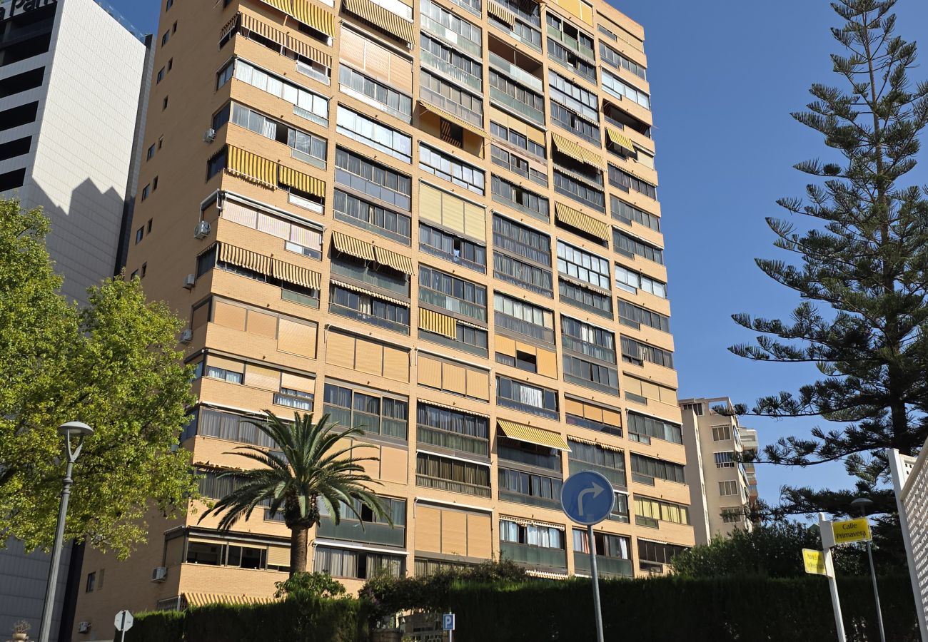 Apartamento en Benidorm - Apartamento Albaida Centro IF Benidorm