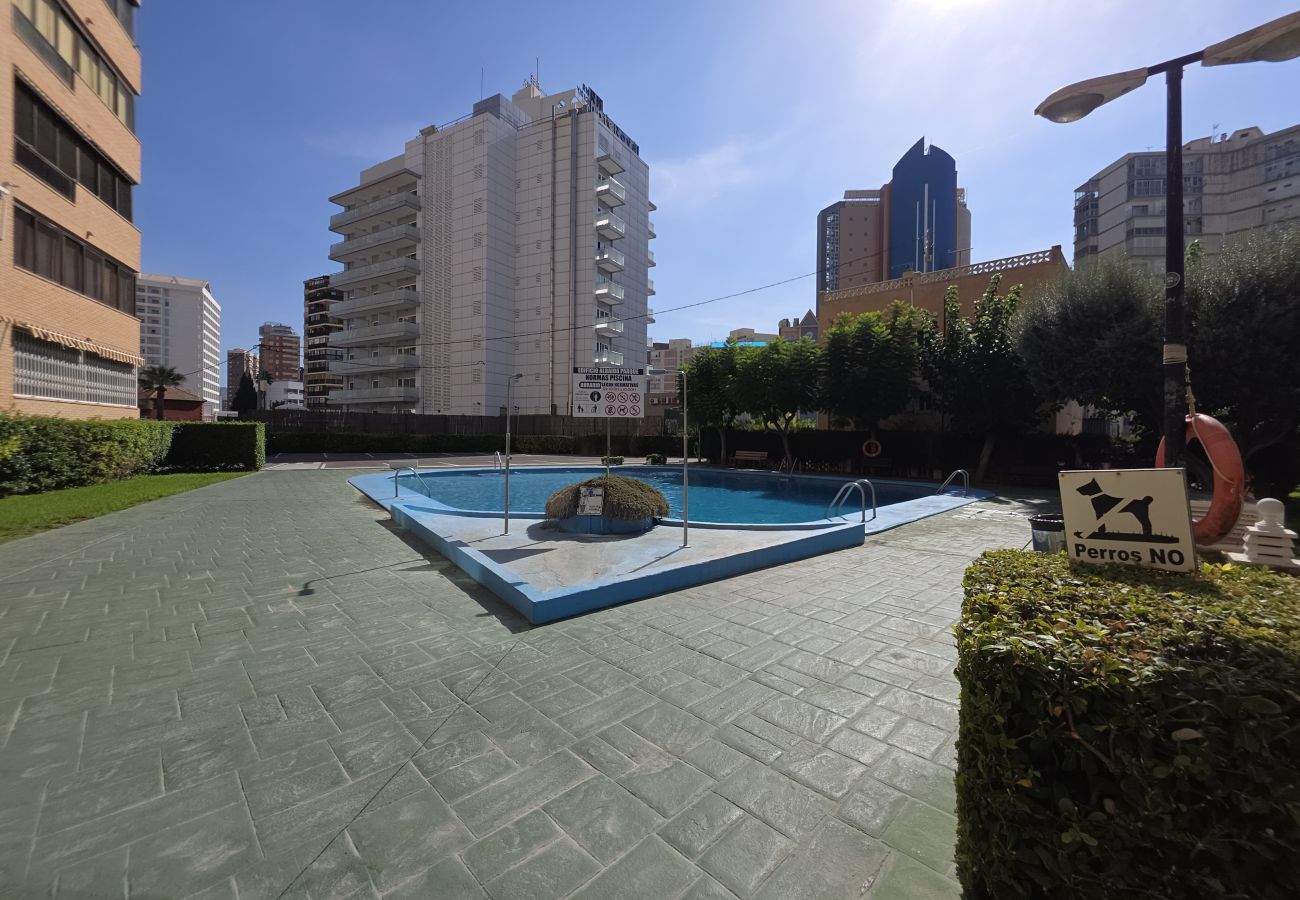 Apartamento en Benidorm - Apartamento Albaida Centro IF Benidorm