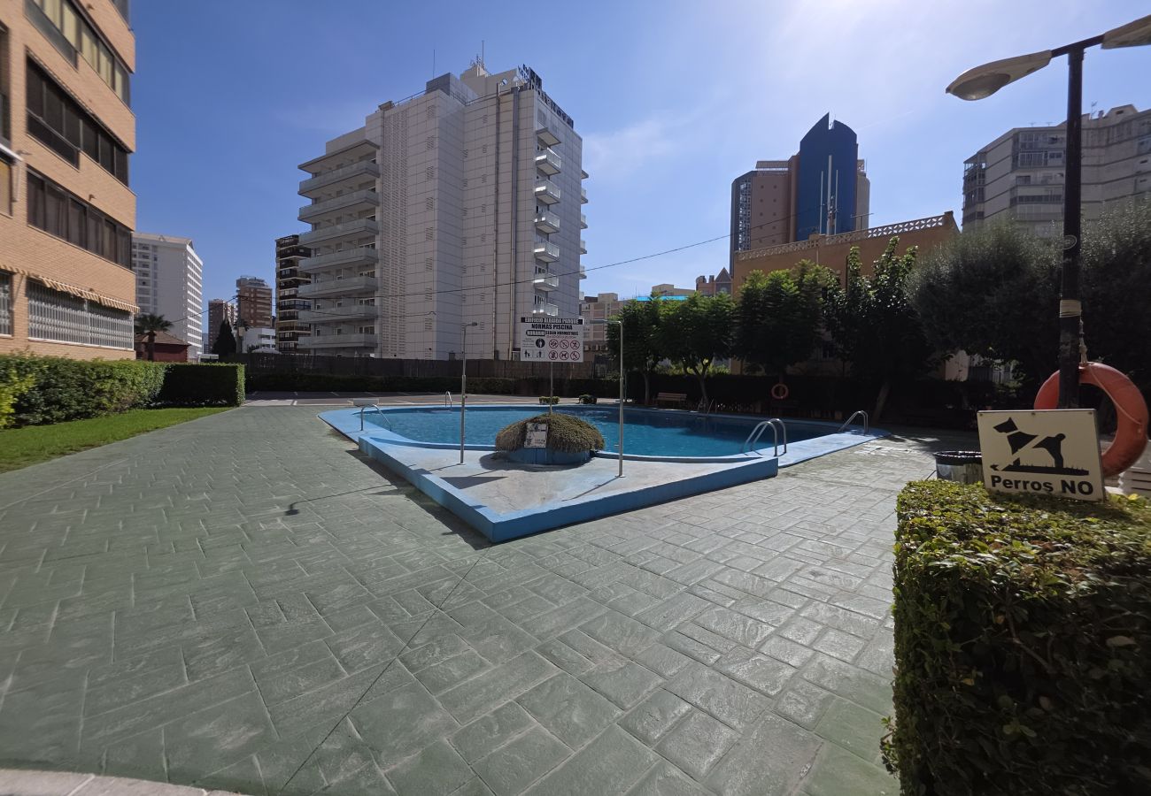 Apartamento en Benidorm - Apartamento Albaida Centro IF Benidorm