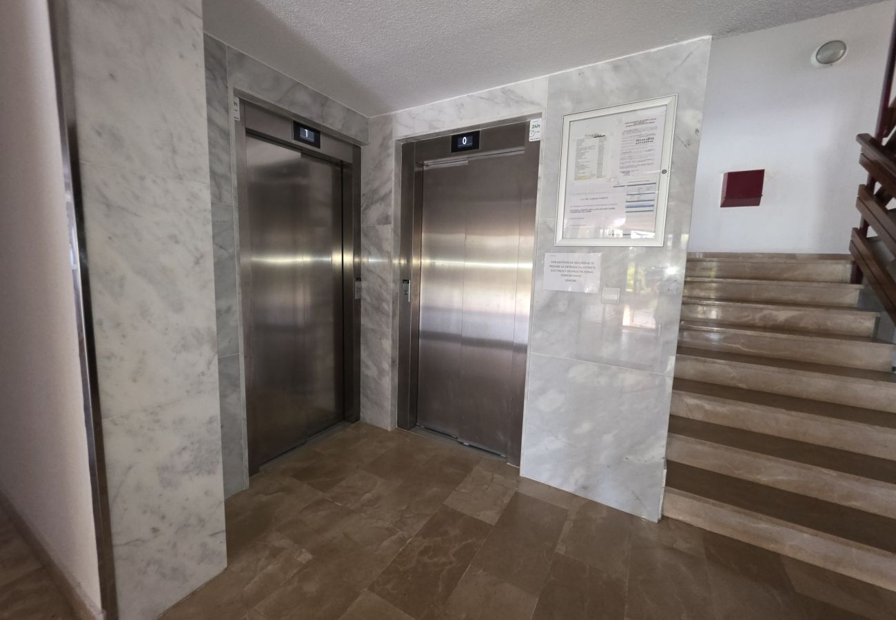 Apartamento en Benidorm - Apartamento Albaida Centro IF Benidorm
